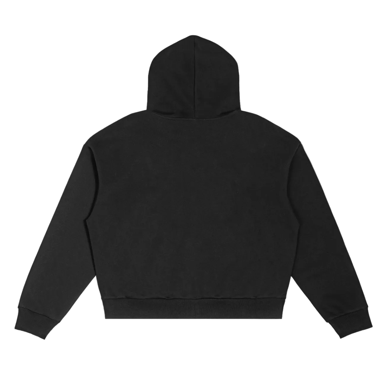WASH DAY ZIP UP HOODIE