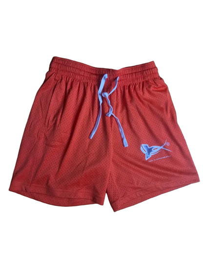 PRACTICE DAY SHORTS